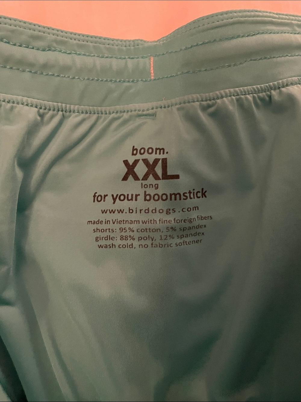 Men's Light Khaki Active Shorts with Teal Lining - Picture 2 of 2